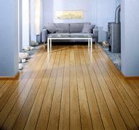 windsorvacuums.com floor care